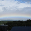 岩手の松茸