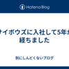 サイボウズに入社して5年が経ちました