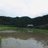 【今年の田植え終了です】