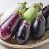 茄子に含まれるナスニンやクエルシチンには、肝臓の解毒作用を助ける働きがあると言われています