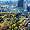 小石川後楽園　時代を超えた錦秋風景