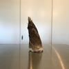 旬だぜ！タケノコ使いっきり【ミニマリスト志望主婦の使い切る暮らし】