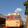 有田川鉄道公園で花見をしながら動態保存されたキハ58を眺める