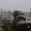 台風中継１