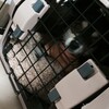 まろにー210日目