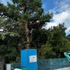 8月17日（土）三宝亭の辛ネギ味噌、村上の鮭
