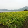 フラワーパークかごしま（鹿児島県）