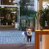 2026年3月5日🐾 今日のマヤ暦
