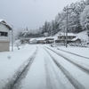 やっと雪が振りました(^^)