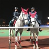 【すごーく広大】大井競馬場「東京メガイルミ」に行く