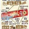 当帰芍薬散の各構成生薬が強力なチームとなって働きます《　君薬、臣薬、佐薬、使薬　「君臣佐使（くんしんさし）」》。これと薬膳メニューもおなじ要領で造るのです