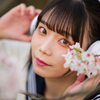 桜花爛漫  惜しむ春❣️ なるはちゃん その48 ─ リクエスト撮影 2024.4.11 松川周辺 ─