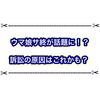 ウマ娘のサ終がトレンド入り！？ 訴訟の原因やサービス終了に関する情報まとめ