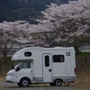 ３年ぶりの家山の桜　～帰路は２通り～