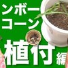 8月5日の動画