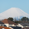 2024年3月11日(月曜日)顔合わすと地震のことばかり～♪♪