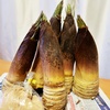 旬の筍をもらったので天ぷらパーリナイ！