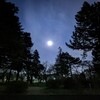 小金井公園へ夜散歩に行って見た。夜空の月が綺麗。（小金井市関野町）