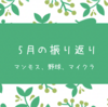2023年5月の振り返り  マンモス、野球、マイクラ