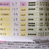 キラリス1錠3ヶ月の効果は？グリコヘモグロビンa1c測定！