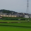 恩田川を散歩する
