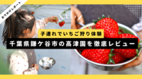 千葉県鎌ケ谷市の高津園を徹底レビュー｜子連れでいちご狩り体験