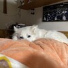 大雪だよ