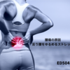 反り腰による腰痛を解消！効果的なKnee to Chestストレッチの方法