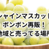 シャインマスカットボンボン再販！販売地域と売ってる場所は？