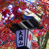 神奈川県南足柄市　　大雄山最乗寺　紅葉