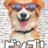 映画『ビンゴ！』BINGO【評価】B マシュー・ロビンス