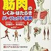 書評：「筋肉のしくみ・はたらきパーフェクト事典」筋肥大のためにはまず筋肉について理解するべし