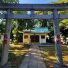 駒込富士神社のケヤキ