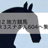 2024/3/12 地方競馬 名古屋競馬 5R 3スナさん604へ集合記念(C)
