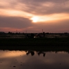 Sunset and Motorcycle on japanese paddy field 