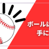 大谷翔平の50号ホームランボール：記念球のオークションに入札参加の日本人とは？