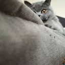 okeiの思考ブログ