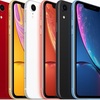 iPhoneXR 明日発売