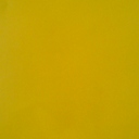 映画祭に行こう   映画館に行こう