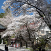 冨士御室浅間神社　その６
