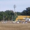 運動会中止からの急遽午後練習❗
