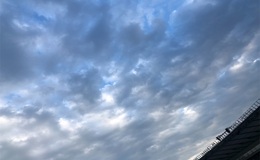 記事を見る