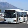 鹿児島交通(元国際興業バス)　2402号車