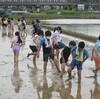 ５年総合「田植え体験」