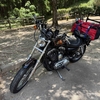バイクで『ディキャン』出動!!