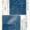 ホタルと流星群