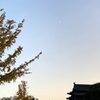 中国・西安へ行ってきた-4　4〜5日目　大雁塔、大明宮
