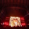 官能と洗練――Red Hot Chili Peppers The Unlimited Love Tour 2024 東京ドーム公演 ライブレポート
