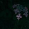 我が子が不登校になった。⑤