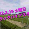 2022,3,19 土曜日 トラックバイアス予想 (阪神競馬場、中京競馬場)